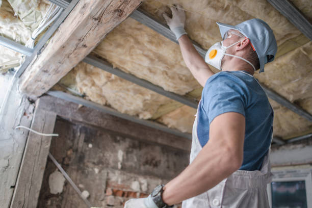 Professional Insulation Contractor in Cherry Valley, IL