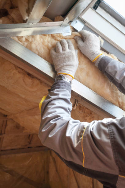 Best Geographic-Specific Insulation Services in Cherry Valley, IL